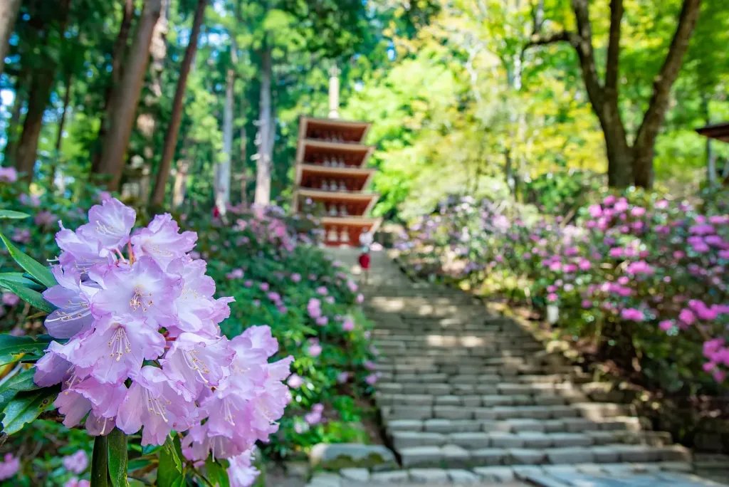 🏯 무로 사(무로지) 이미지 6
